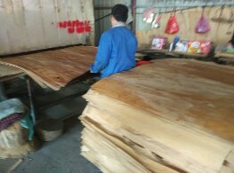 單板烘干機木材干燥設備技術成熟價格優惠質量保證維修服務終身
