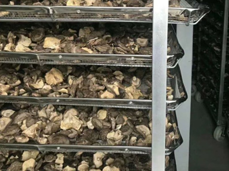 華中干燥 熱銷蘑菇烘干機 廠家直銷食品烘干設備